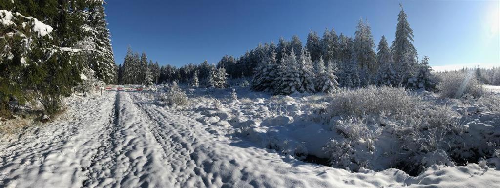 Ferienhaus Ginkgo Biloba Malsbenden Esterno foto