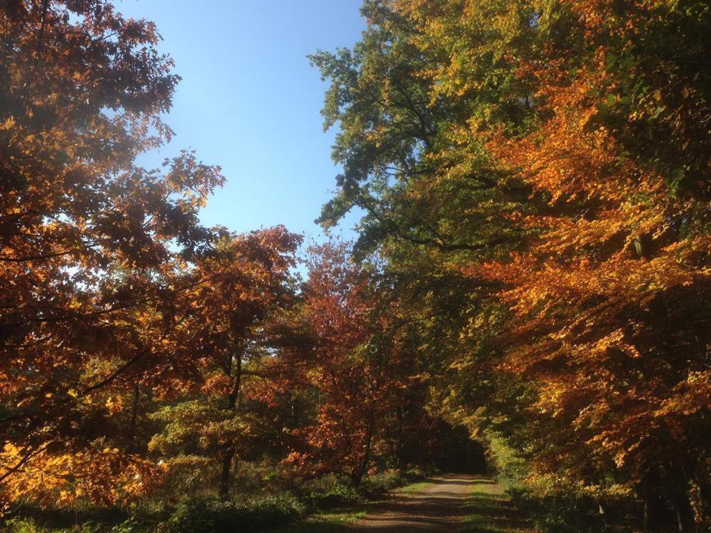 Ferienhaus Ginkgo Biloba Malsbenden Esterno foto