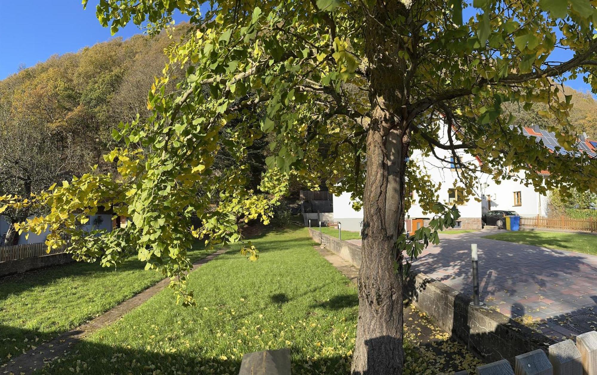 Ferienhaus Ginkgo Biloba Malsbenden Esterno foto