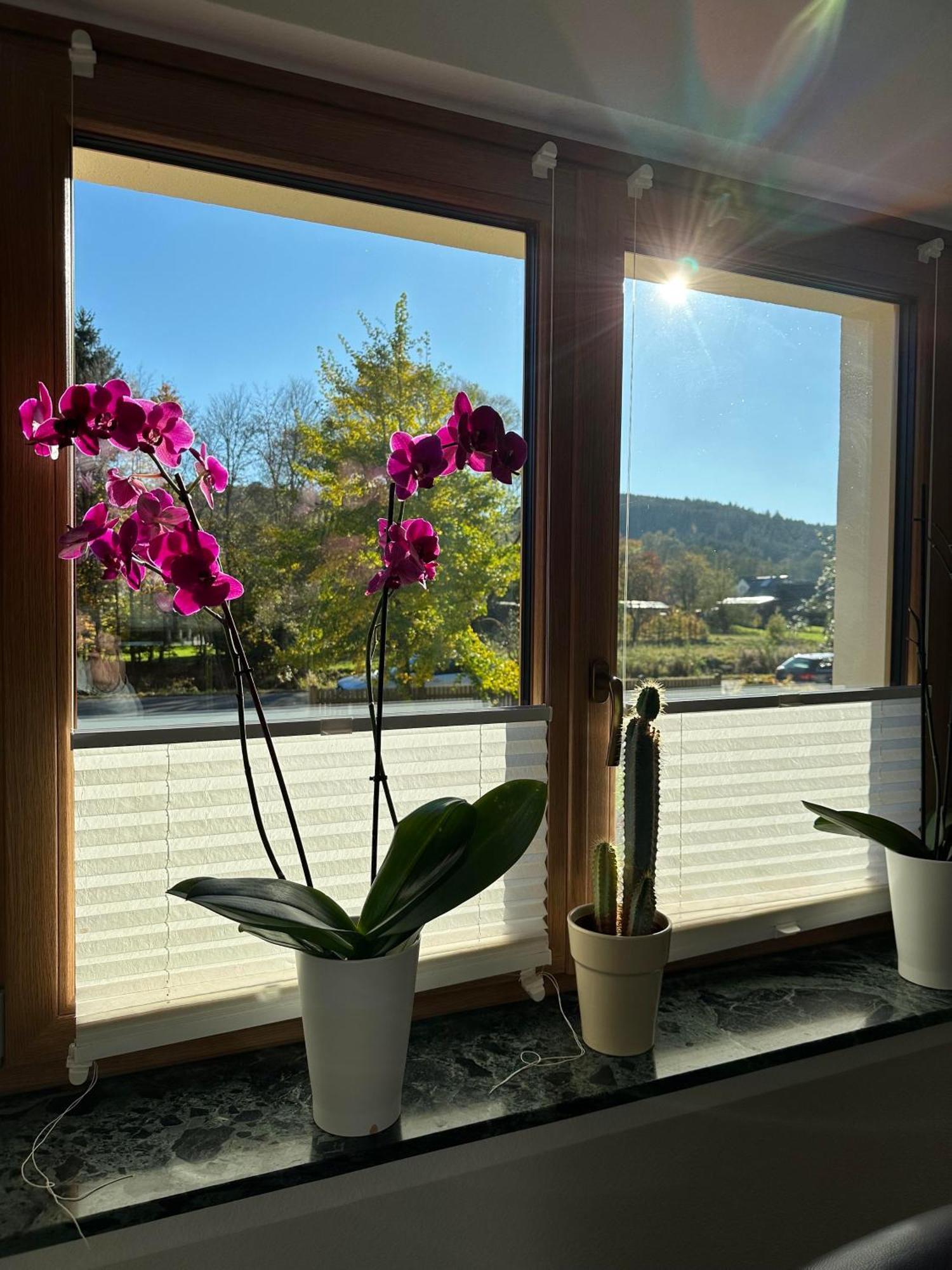 Ferienhaus Ginkgo Biloba Malsbenden Esterno foto