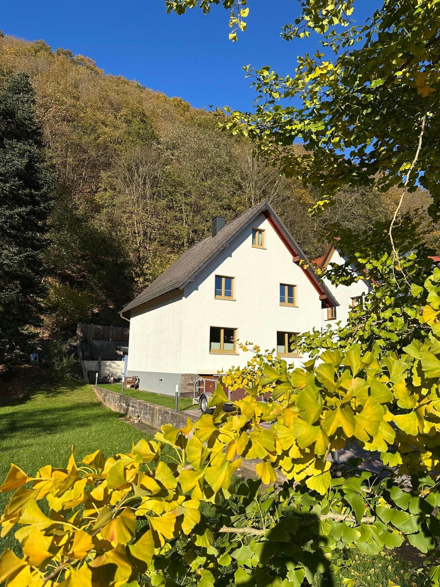 Ferienhaus Ginkgo Biloba Malsbenden Esterno foto
