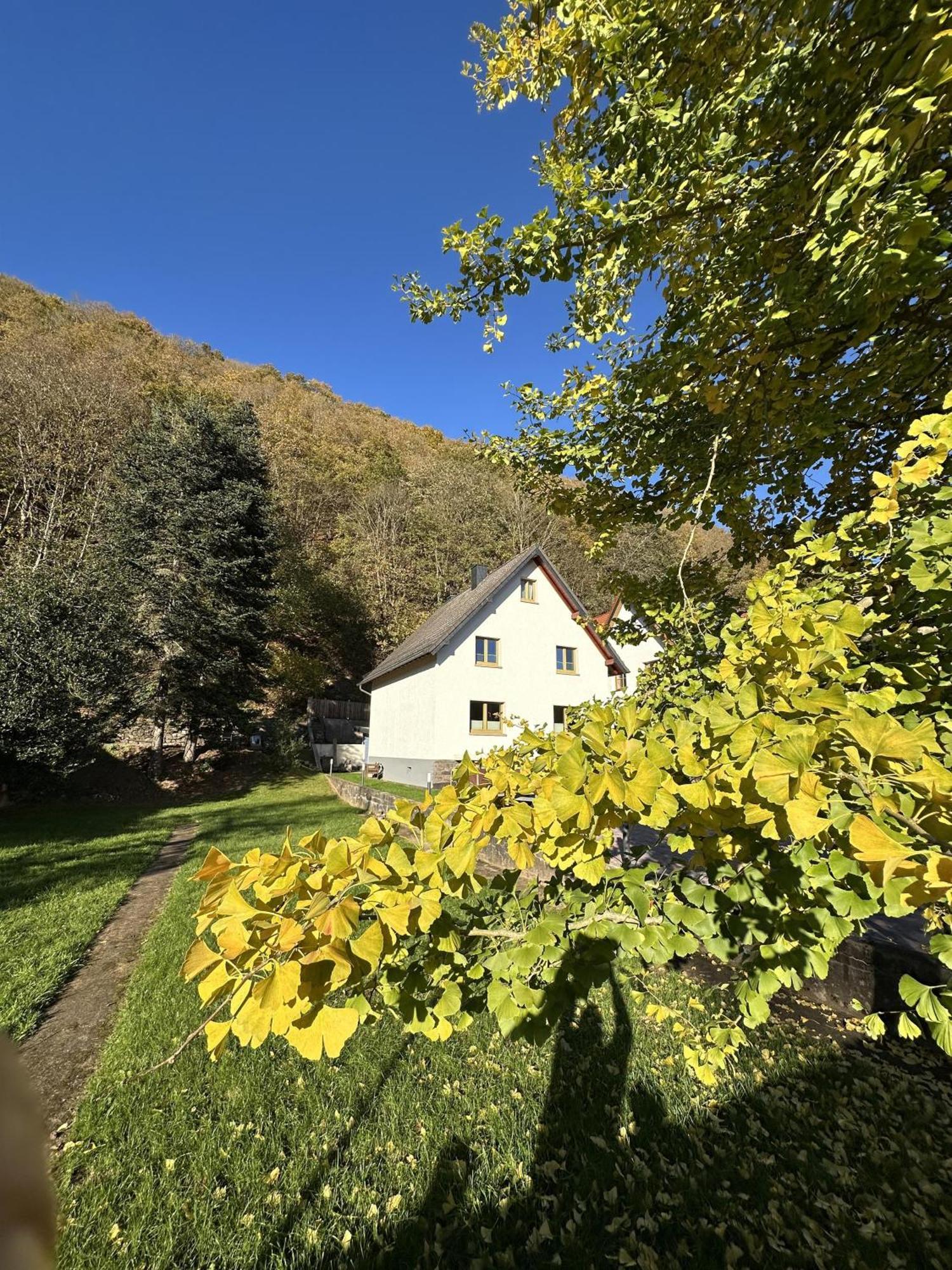 Ferienhaus Ginkgo Biloba Malsbenden Esterno foto